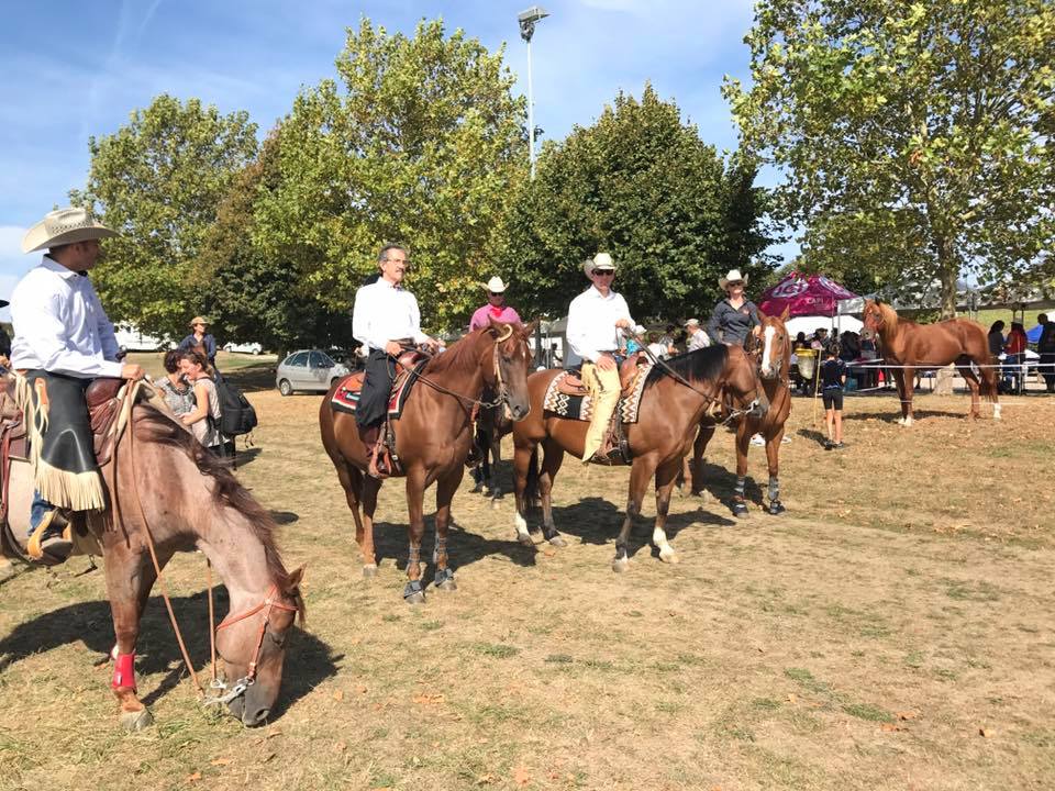 41820777_2261203643953455_315396138788192256_n