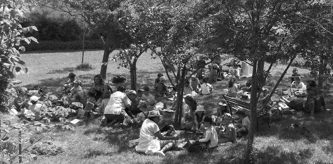 FB_IMG_1561413941872